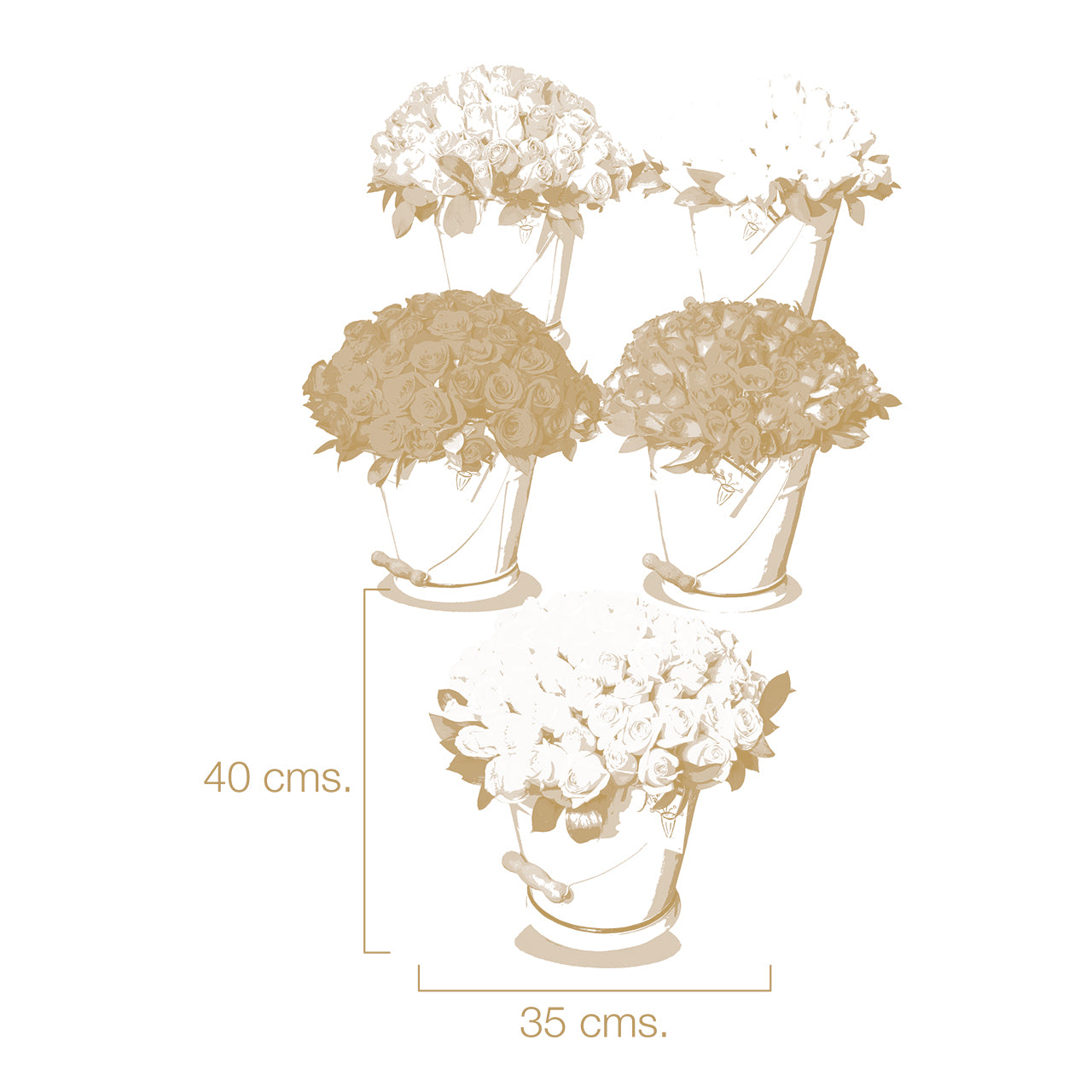 ROSAS EN CUBETA- COLORES